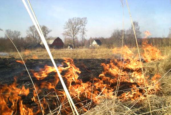 Готовиться к пожароопасному сезону следующего года нужно начинать сейчас.